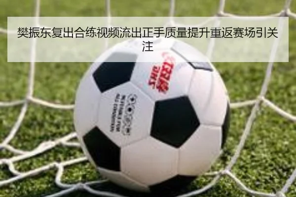 樊振东复出合练视频流出正手质量提升重返赛场引关注
